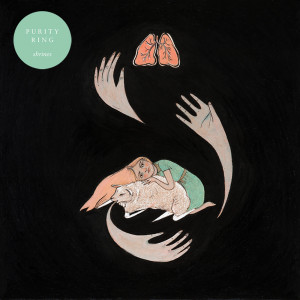 Dengarkan lagu Lofticries nyanyian Purity Ring dengan lirik