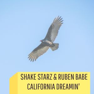 Album California Dreamin' from Ruben Babe