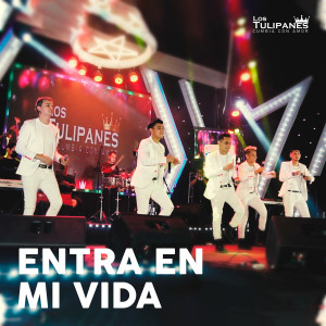 Los Tulipanes cumbia con amor的專輯Entra en Mi Vida (Cover)