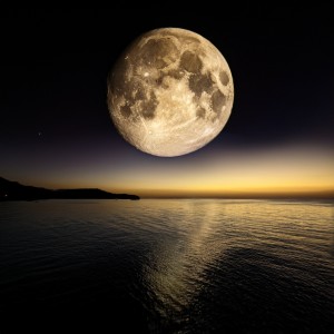 ดาวน์โหลดและฟังเพลง Sonidos Nocturnos Suaves Y Ambientales พร้อมเนื้อเพลงจาก Oceanógrafos