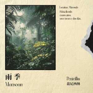 อัลบัม 雨季 (Monsoon) ศิลปิน 盘尼西林