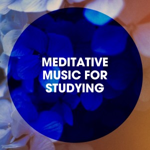Soothing Mind Music的專輯Meditative Music for Studying