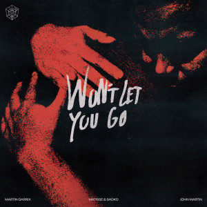 收听Martin Garrix的Won’t Let You Go歌词歌曲