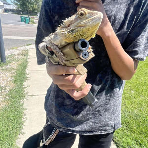 收聽WAY2NOXIOUS的Ebk flow pt. 1 (feat. Dae?!) (Explicit)歌詞歌曲