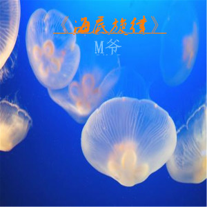 Album 海底旋律 from M爷