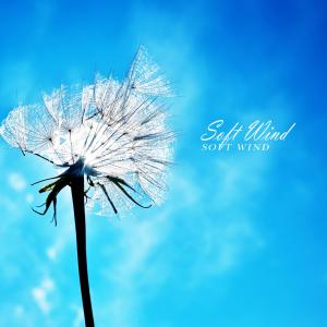 Album Soft Wind oleh Ha Nalae