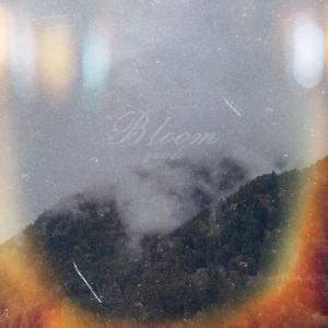 Gaudi的專輯Bloom
