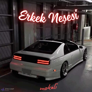 Listen to Erkek Neşesi (Tolny) song with lyrics from Mokali