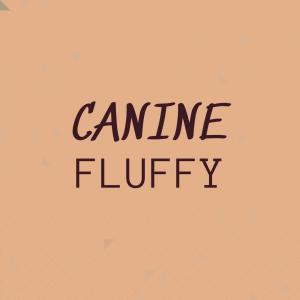 Listen to Eroded Furrow song with lyrics from Bety Canh