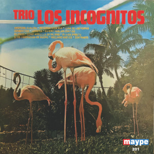 收聽Trio Los Incognitos的Bilongo歌詞歌曲