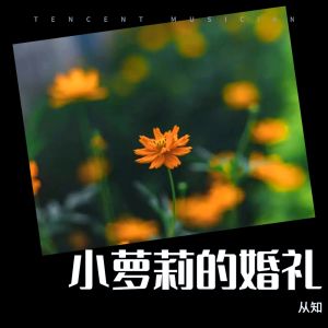Listen to 小萝莉的婚礼 (完整版) song with lyrics from 从知