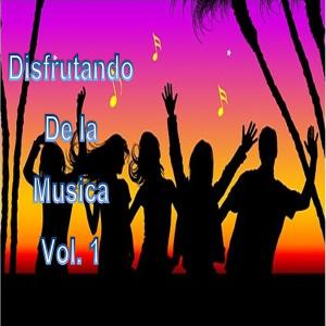 Various Artists的專輯Disfrutando de la Musica, Vol. 1