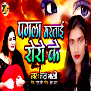 收听Mala Bharti的Pagla Mar Jayi Roro Ke歌词歌曲