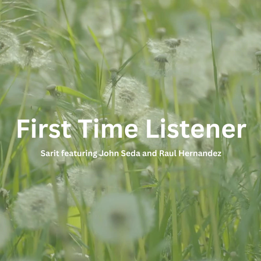 First Time Listener (feat. John Seda & Raul Hernandez) (Summer Version)