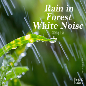 Listen to Showers in the Deep Forest (ASMR, Sleep Music, Meditation Music) (ASMR|Sleep Music|Meditation Music) song with lyrics from Healing Nature