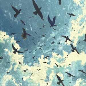 Album Migratory Birds from Tiny Griffi