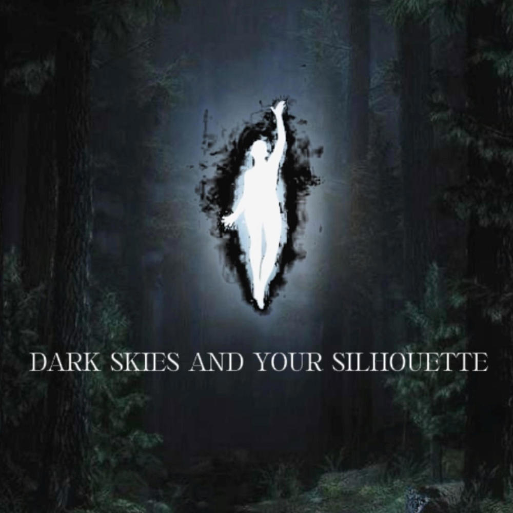 Dark Skies And Your Silhouette (feat. Character D3f3cts) (Explicit)