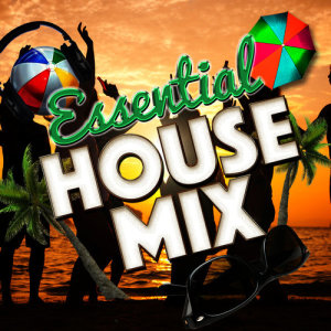 收聽Essential House的Runnin'歌詞歌曲