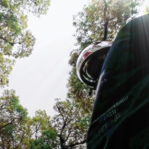 Album 讨好型人格 from Sino周夏影
