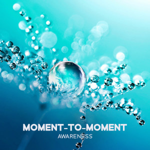 อัลบัม Moment-to-Moment Awareness (Mindful Nature Sounds with Gentle Music, Concentration on the Now, Reiki Healing and Pregnancy Relaxation) ศิลปิน Hypnobirthing Music Company