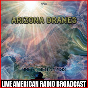 Arizona Dranes的專輯Bright Beginnings