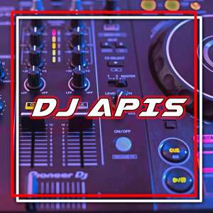 Album Tangkis Dang from DJ Apis