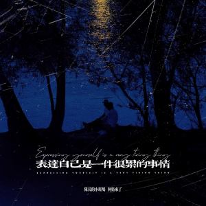 Dengarkan lagu 表达自己是一件很累的事情 nyanyian 队长的小斑鸠 dengan lirik