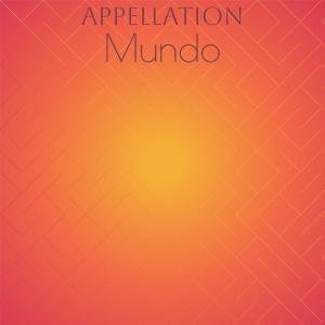 Album Appellation Mundo from Various