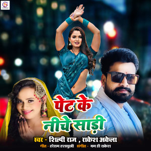 Album Pet ke Niche Sadi from 
