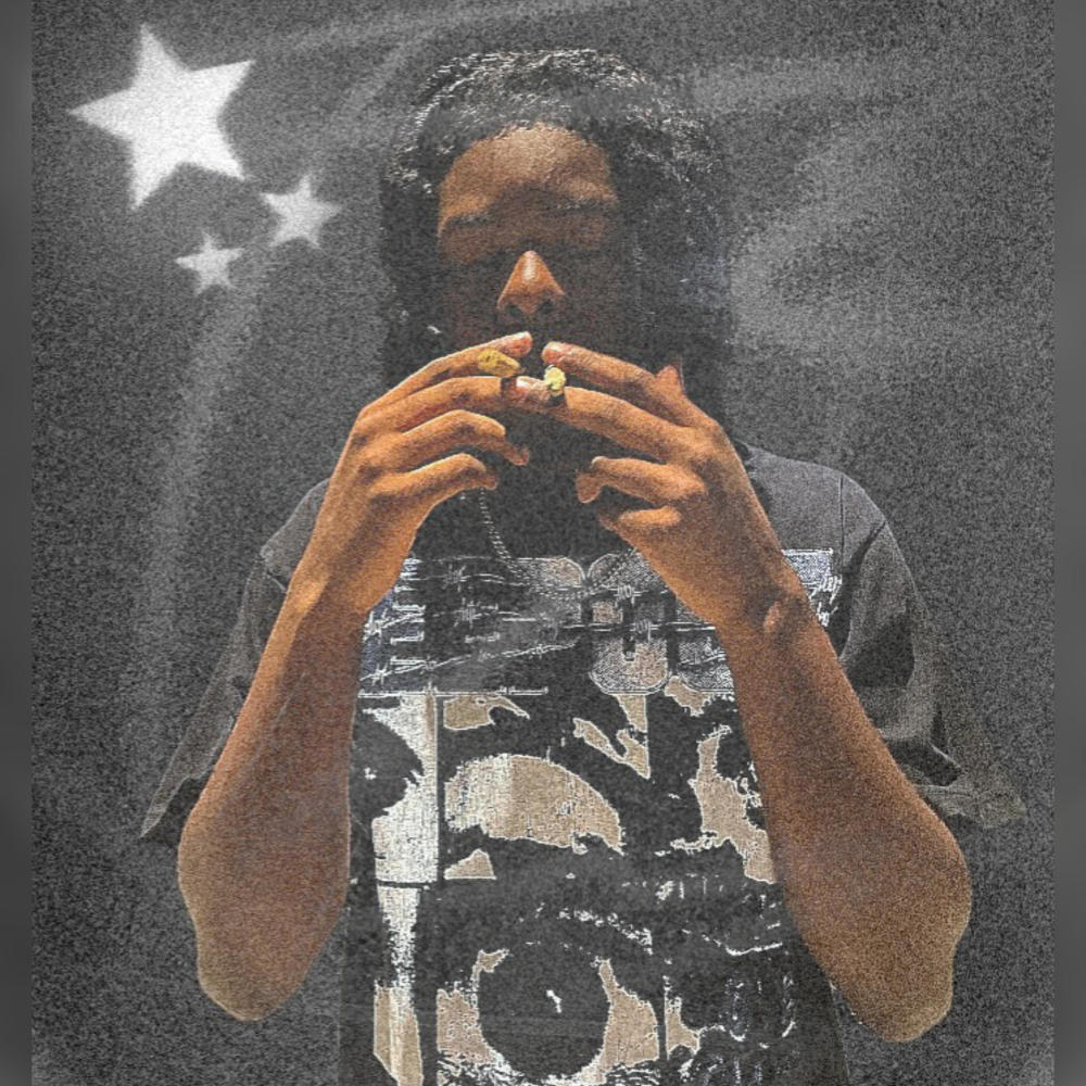 NO FlY ZONE (Explicit)