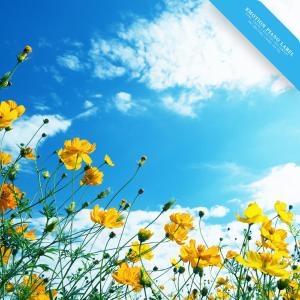 Listen to Happiness Due To You song with lyrics from Love Paper