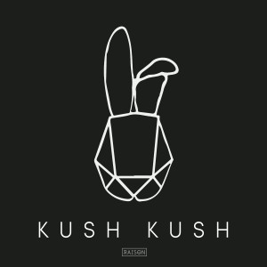 Listen to Fight Back with Love Tonight (Get Better Radio Remix) song with lyrics from Kush Kush