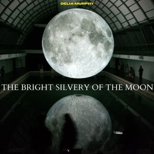 Listen to Roving Journeyman song with lyrics from Delia Murphy