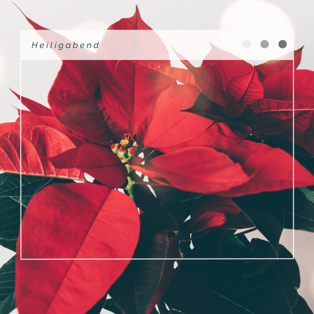 The Twelve Days of Christmas: Magical Time