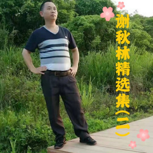 收聽謝秋林的傷心的雪花歌詞歌曲