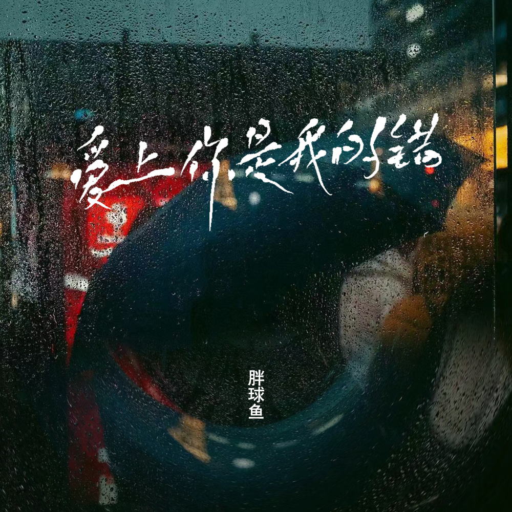 爱上你是我的错