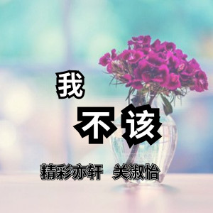 Listen to 我不该 song with lyrics from 亦轩