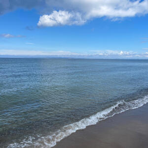 收聽Mr T的Ocean nature歌詞歌曲