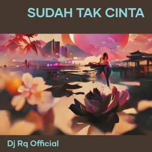 Dengarkan Sudah Tak Cinta lagu dari Dj Rq Official dengan lirik