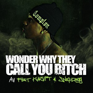 Listen to Wonder Why They Call You B*tch (Explicit) song with lyrics from AV