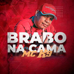 Listen to Brabo na Cama (Explicit) song with lyrics from MC K9