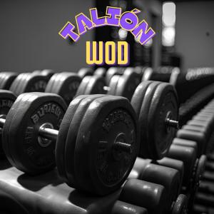 收聽Talion的WOD (Explicit)歌詞歌曲