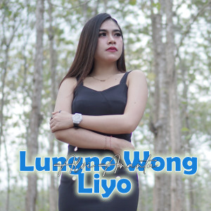收聽Alvi Ananta的Lungno Wong Liyo歌詞歌曲