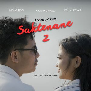 อัลบัม Saktenane 2 ศิลปิน Vadesta