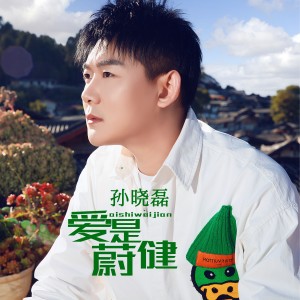 Album 爱是蔚健 from 孙晓磊