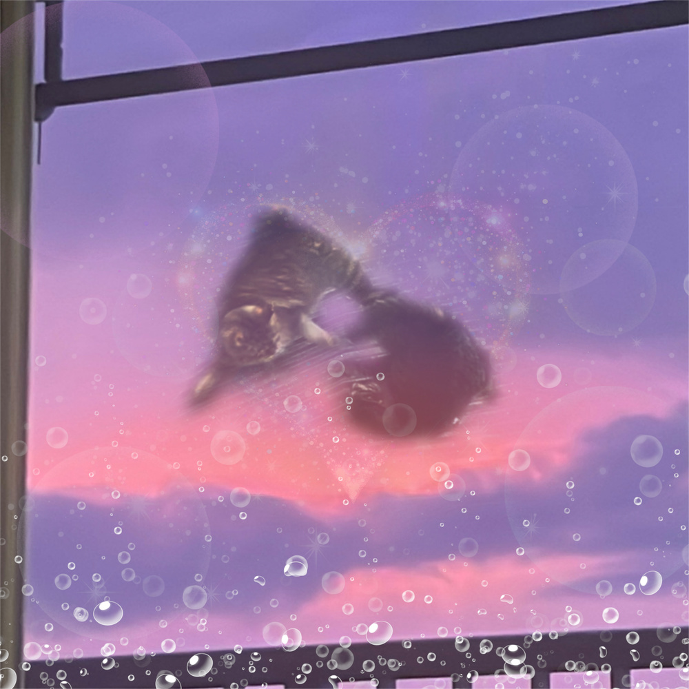 ねこの喧嘩