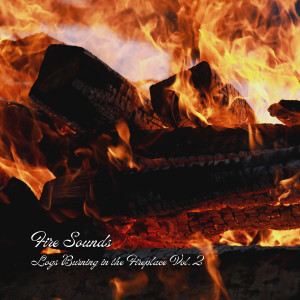 Fire Sounds: Logs Burning in the Fireplace Vol. 2