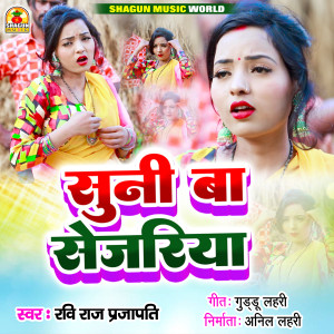 收听Ravi Raj Prajapati的Suni Ba Sejariya歌词歌曲
