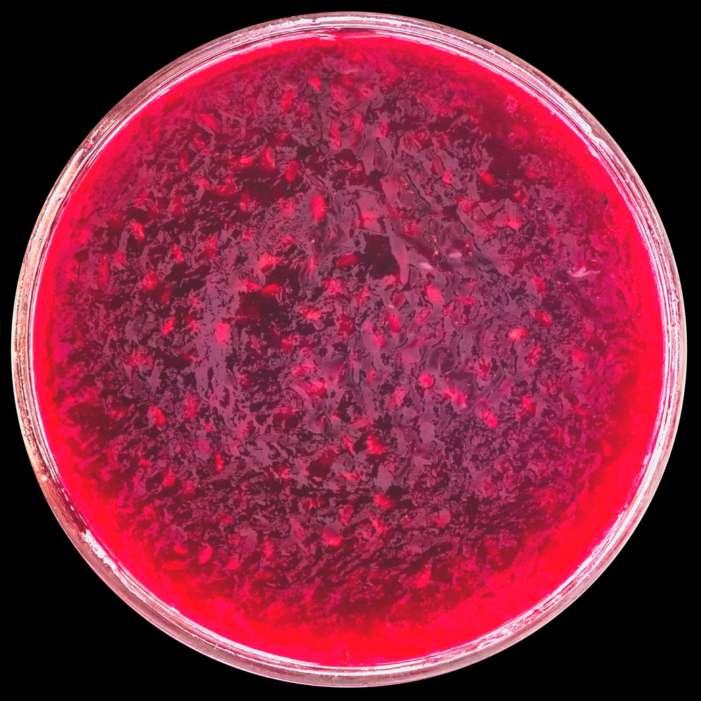 Mutation Blooding IV.wav (Original)