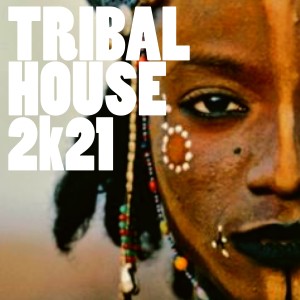 Various Artists的专辑Tribal House 2021